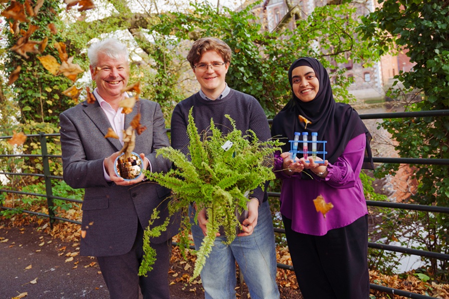 BIOSENSEI Coordinator: Tyndall National Institute